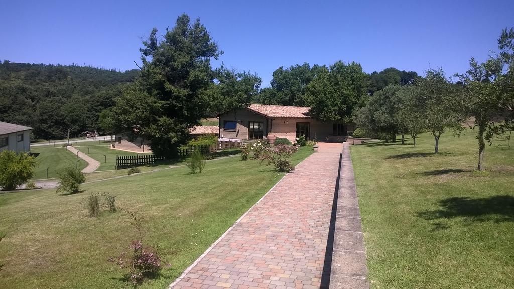 Agriturismo Monte Dell'Olmo Trevignano Romano Kültér fotó
